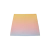 Ping Pong Gradient Silk Skjørt