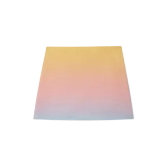 Ping Pong Gradient Silk Skjørt