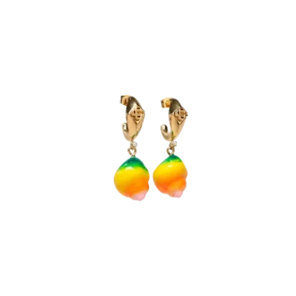 Shell Drop-øreringer